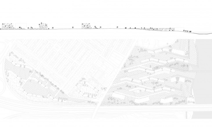 plan and sections