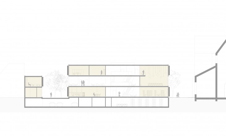 longitudinal section