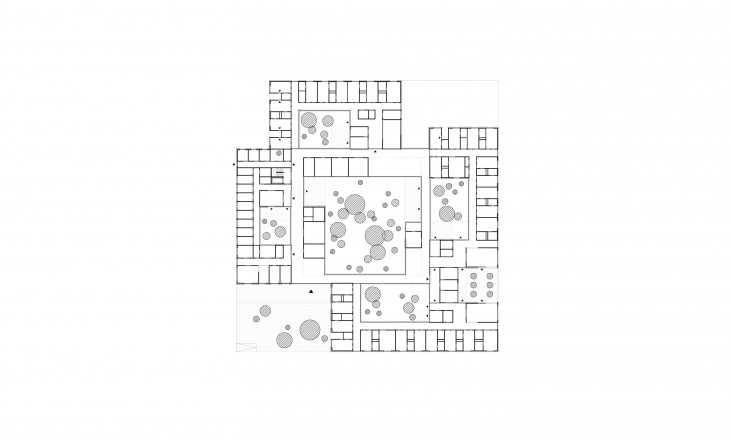 psycho-pedagogical psychiatry plan